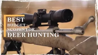 5 Budget Scopes For Deer Hunting Under $500