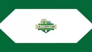 Best Lawn Flea Control & Tick Control At A & A Lawn Care