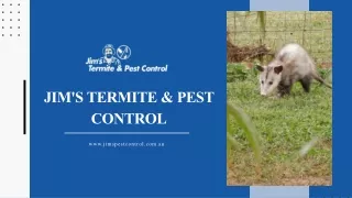 jim s termite pest control