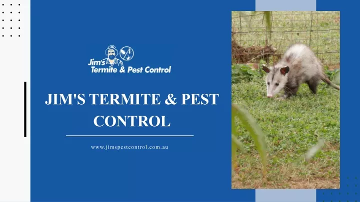 jim s termite pest control