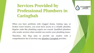 Services Provided by Professional Plumbers in Caringbah