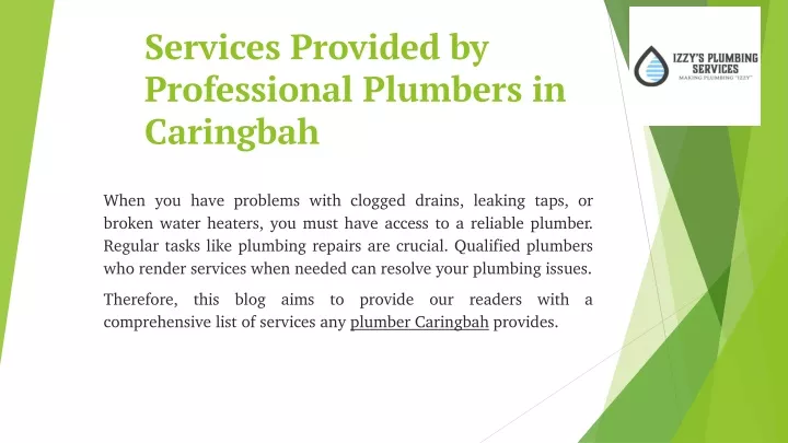 services provided by professional plumbers in caringbah