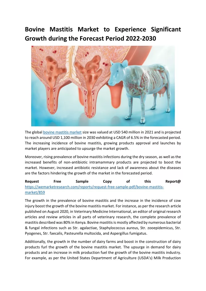 bovine mastitis market to experience significant