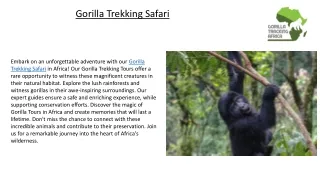 Gorilla trekking safari
