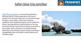 Safari blue trip zanzibar