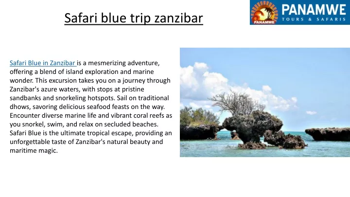 safari blue trip zanzibar