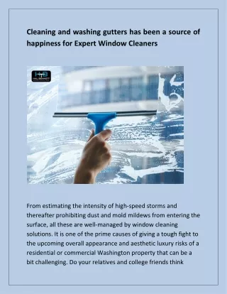 Expert Window Cleaners: Trusted Professional for Crystal-Clear Views
