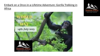Embark on a Once-in-a-Lifetime Adventure Gorilla Trekking in Africa