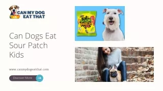 Can Dogs Eat Sour Patch Kids | Can My Dog Eat That