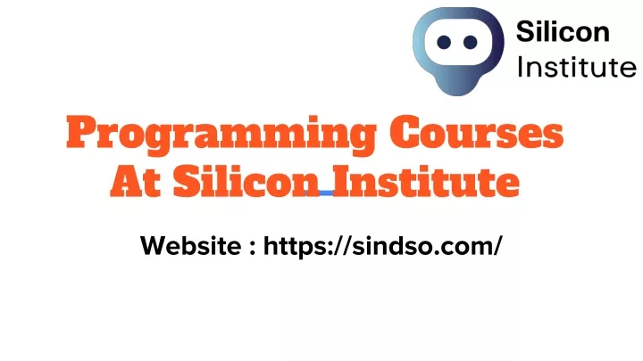 programming courses at silicon institute
