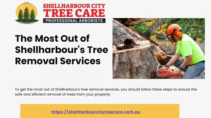 the most out of shellharbour s tree removal