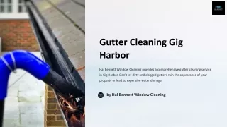 Gutter Cleaning Gig Harbor: Professional Solutions for Efficient Systems