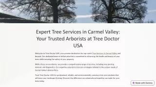 Expert Tree Services in Carmel Valley: Your Trusted Arborists at Tree Doctor USA