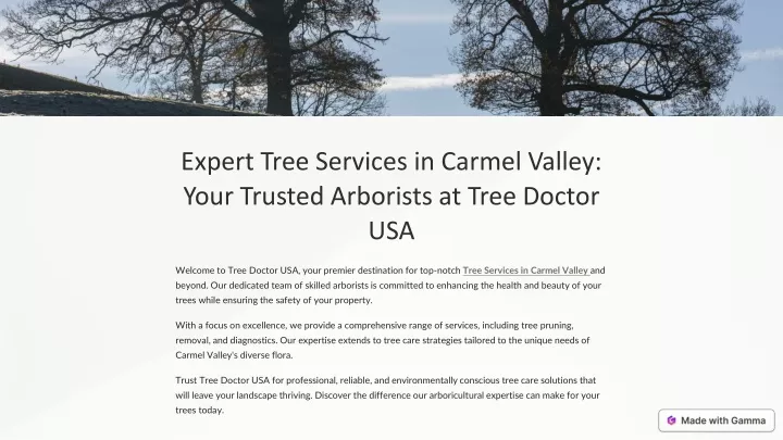 expert tree services in carmel valley your