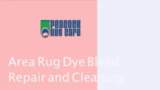 Area rug dye bleed repair  How to Fix Dye Bleed in Persian Rugs...