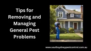 Tips for Removing and Managing General Pest Problems