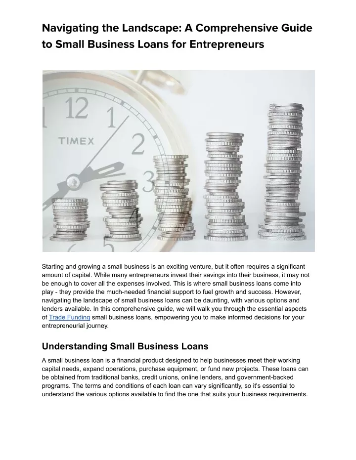 PPT - Navigating the Landscape_ A Comprehensive Guide to Small Business Loans for Entrepreneurs 