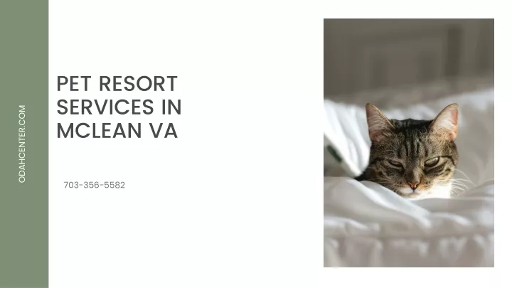 pet resort services in mclean va