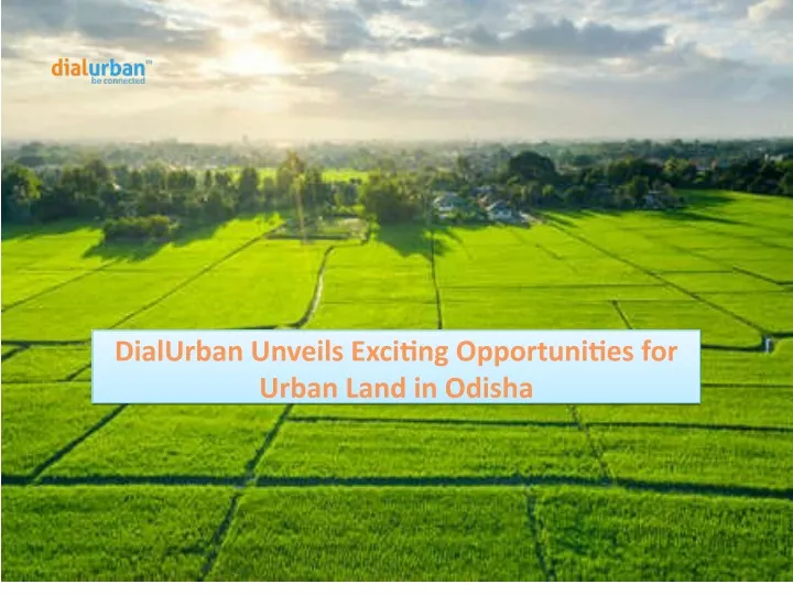 dialurban unveils exciting opportunities for