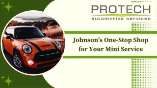 Johnson's One-Stop Shop for Your Mini Service