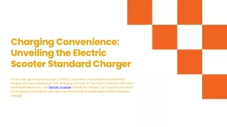Charging Convenience: Unveiling the Electric Scooter Standard Charger