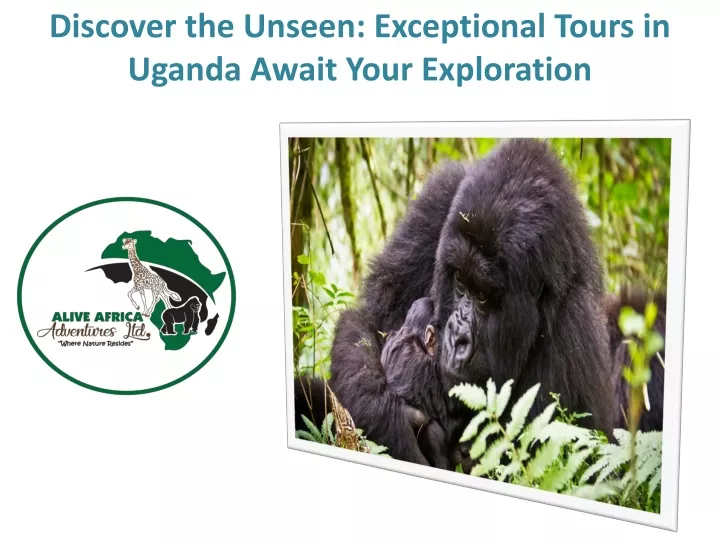 discover the unseen exceptional tours in uganda