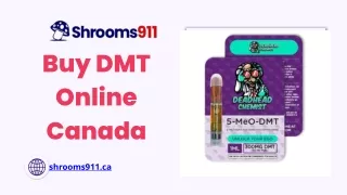 Buy DMT Online Canada - Shrooms911
