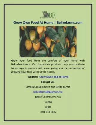 Grow Own Food At Home  Belizefarms