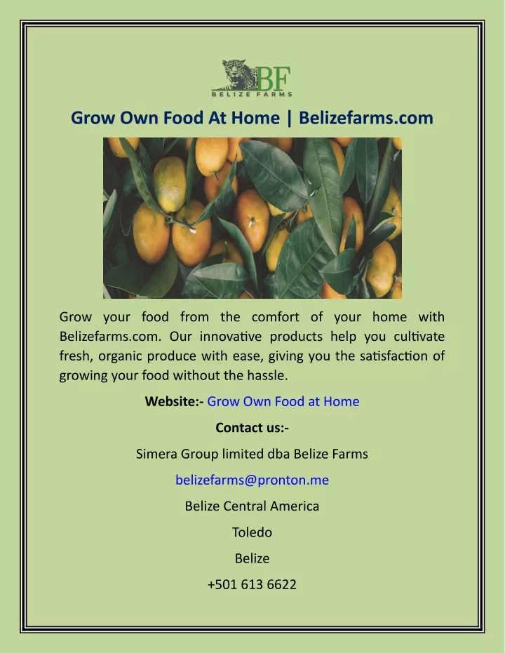 grow own food at home belizefarms com