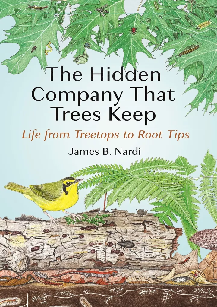 download book pdf the hidden company that trees