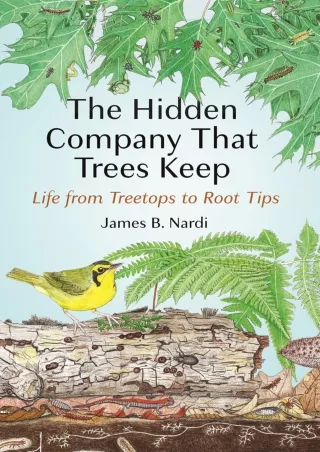 Download Book [PDF]  The Hidden Company That Trees Keep: Life from Treetops to R