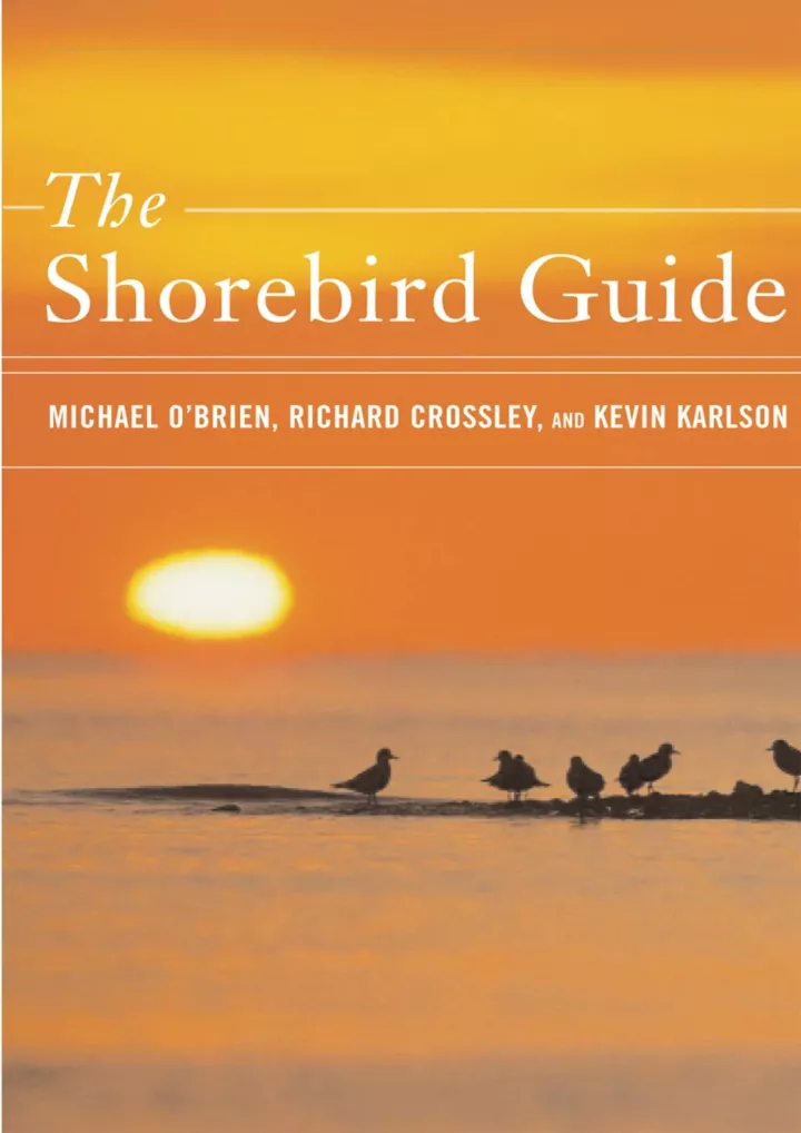 pdf read download the shorebird guide download