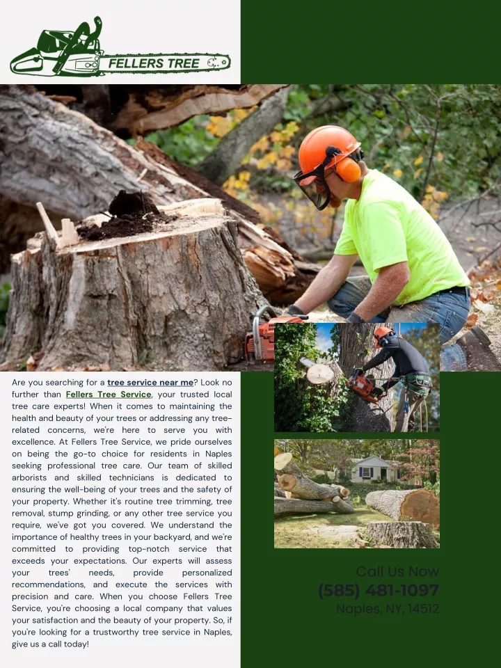 are you searching for a tree service near me look