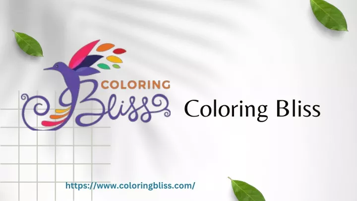 coloring bliss