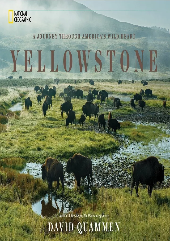 pdf read download yellowstone a journey through
