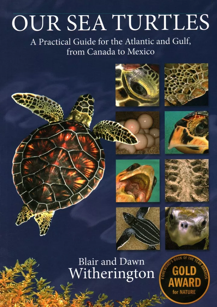 pdf read online our sea turtles a practical guide