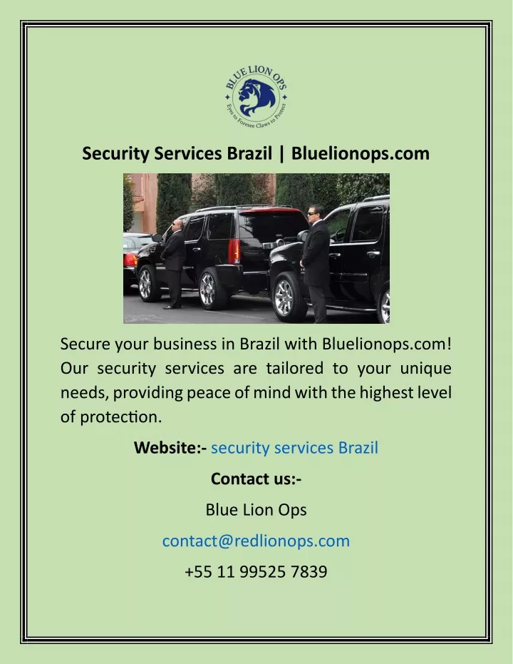 security services brazil bluelionops com