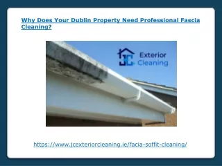Why Does Your Dublin Property Need Professional Fascia Cleaning
