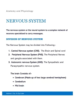 CNS And Spinal Cord