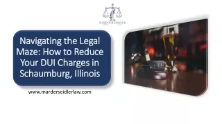 navigating the legal maze how to reduce your dui charges in schaumburg illinois