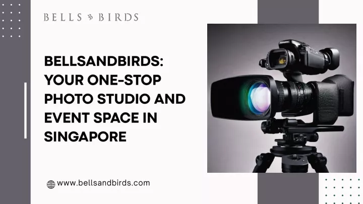 bellsandbirds your one stop photo studio
