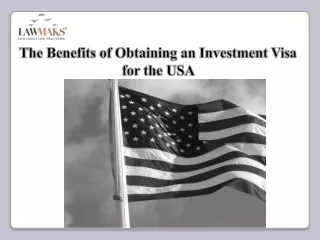 The Benefits of Obtaining an Investment Visa for the USA