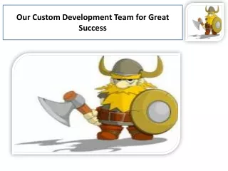 Use for Business Software Customization Process