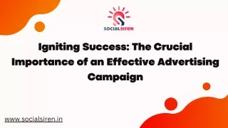 Igniting Success The Crucial Importance of an Effective Advertising Campaign
