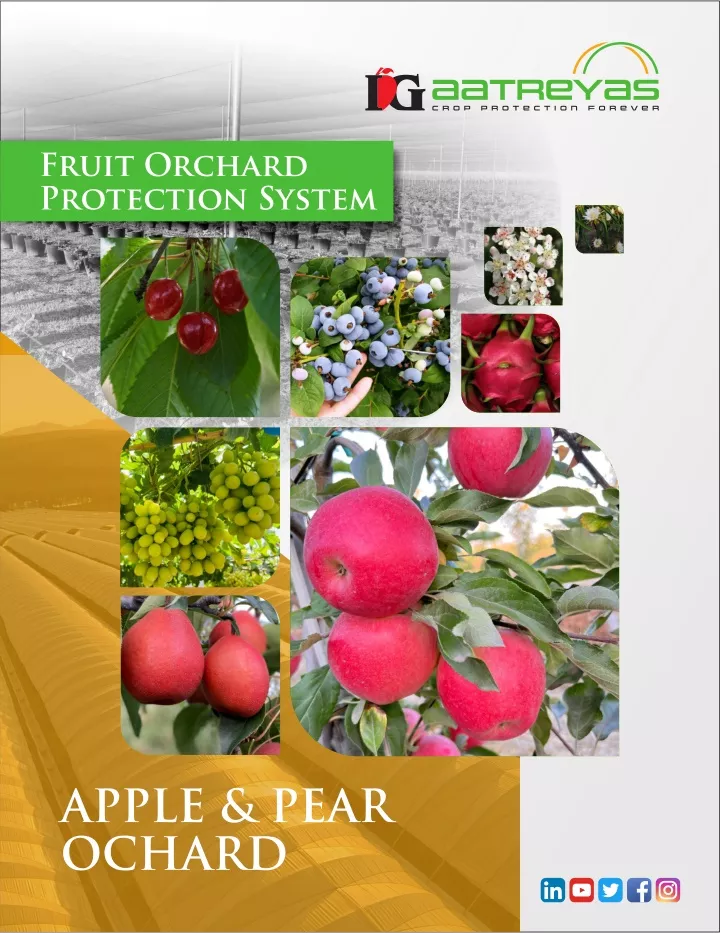 fruit orchard protection system
