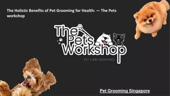 the holistic benefits of pet grooming for health