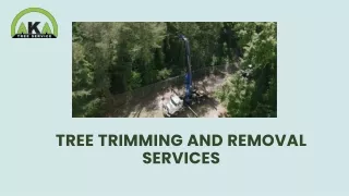 Expert Tree Removal in Atlanta by AKA Tree Service Transforming Landscapes Safely