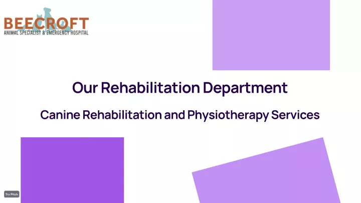 our rehabilitation department