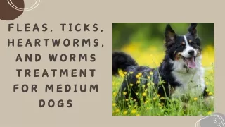 Fleas, Ticks, Heartworms, and Worms Treatment for Medium Dogs