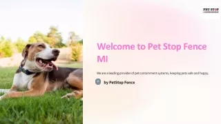 Pet Stop Rechargeable Collar: Reliable Training Solution for your home